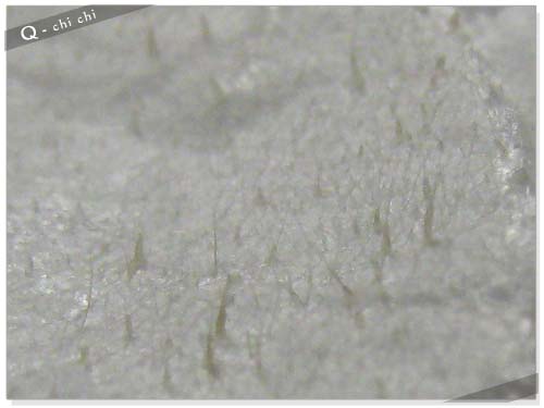 我的刺紙.jpg 我的刺紙.jpg