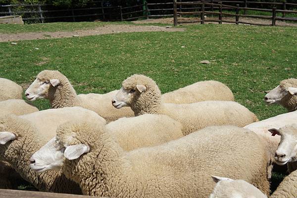 DSC04792.JPG DSC04792.JPG