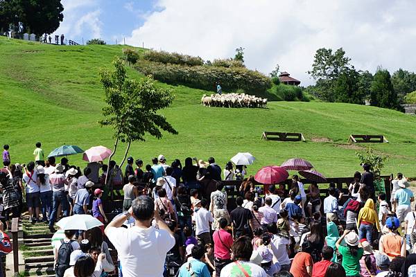 DSC04819.JPG DSC04819.JPG