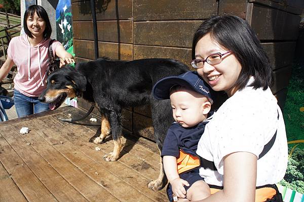 DSC04862.JPG DSC04862.JPG