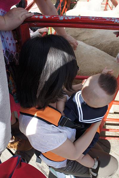 DSC04873.JPG DSC04873.JPG