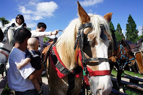 DSC04920.JPG DSC04920.JPG