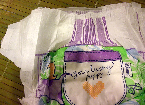 DSCF5183-1.JPG DSCF5183-1.JPG