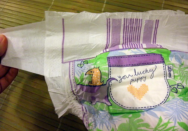 DSCF5182-1.JPG DSCF5182-1.JPG