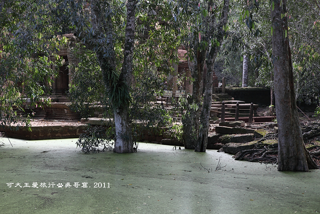 Ta Prohm_3 Ta Prohm_3