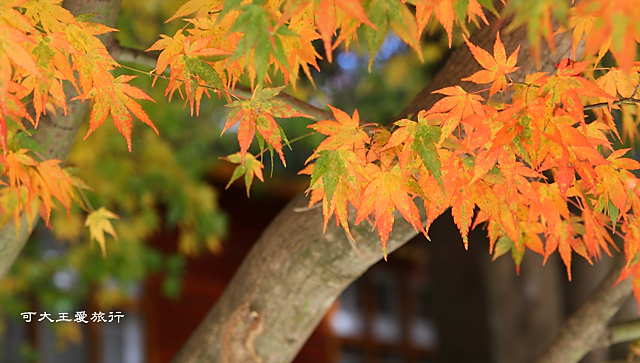 fushoushan_22 fushoushan_22
