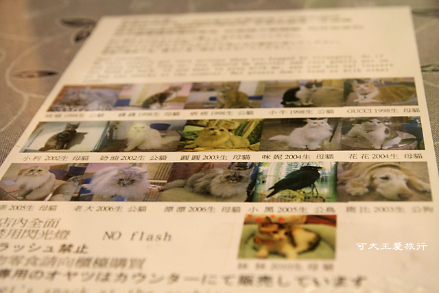 Cafe Dog&Cats_1 Cafe Dog&Cats_1