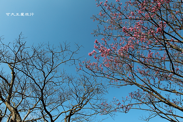 Yangmingshan_24 Yangmingshan_24