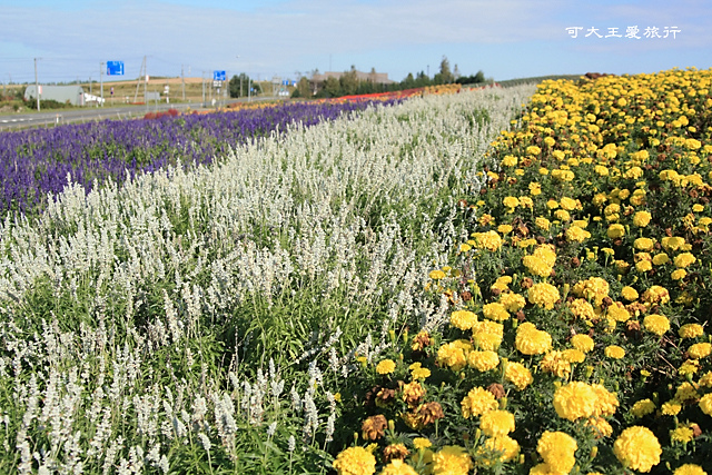 FURANO_19.jpg FURANO_19.jpg