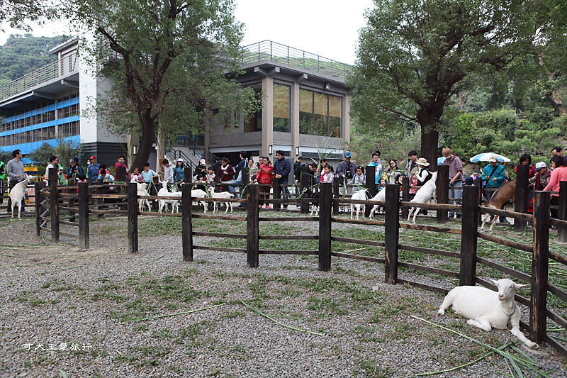 goatsfarm_16.jpg goatsfarm_16.jpg