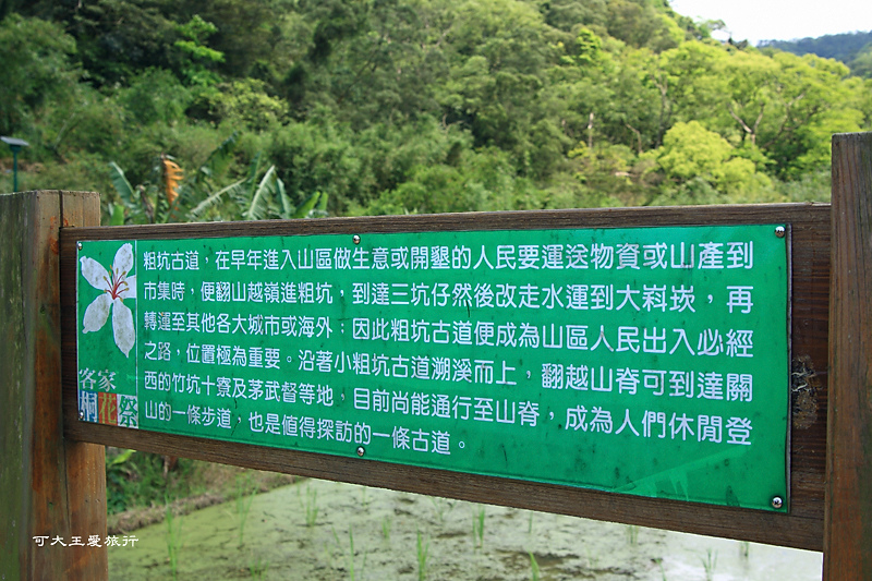 tung blossom_19.jpg tung blossom_19.jpg