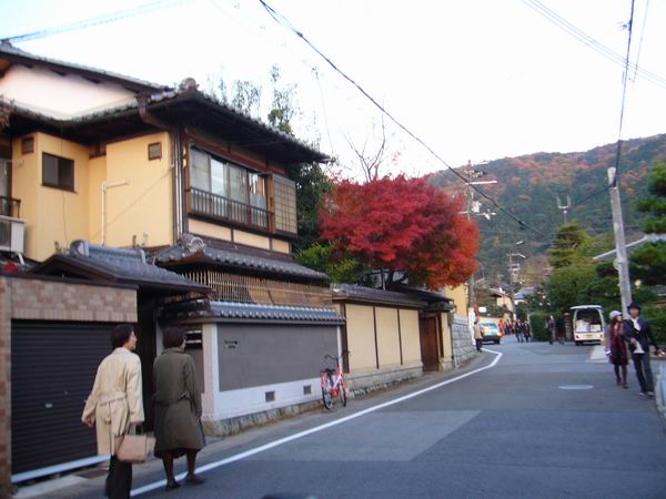 P1120631.JPG