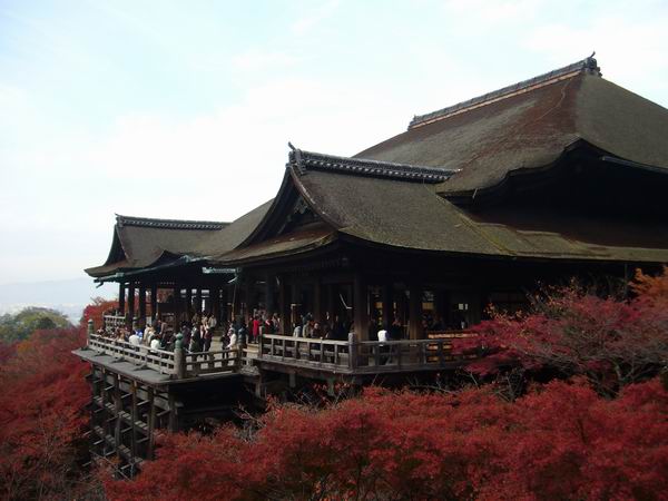P1120830.JPG