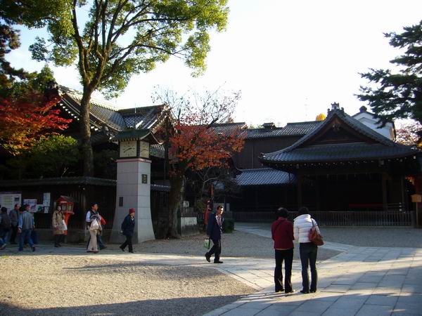 P1130034.JPG