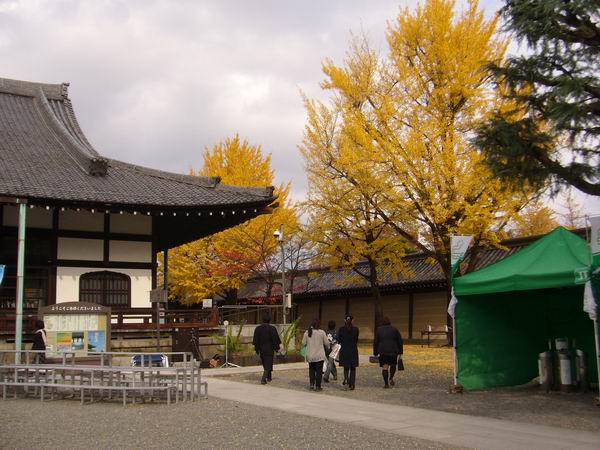 P1130285.JPG