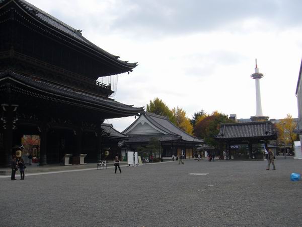P1130300.JPG