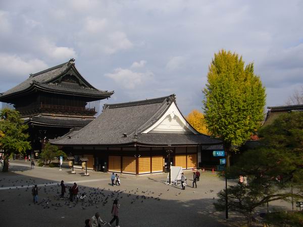 P1130315.JPG