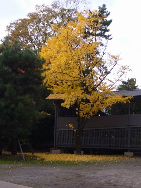 P1130319.JPG