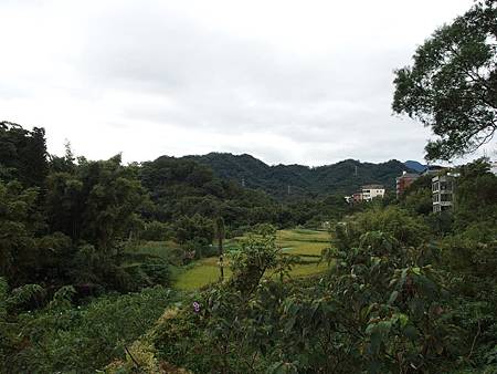 PB150283 (Copy).JPG PB150283 (Copy).JPG