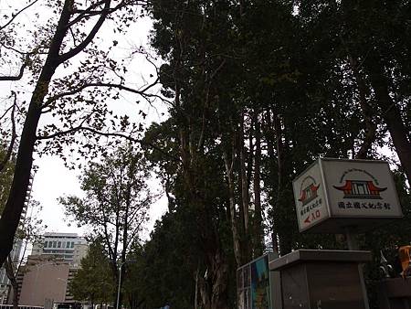 PB150431 (Copy).JPG PB150431 (Copy).JPG