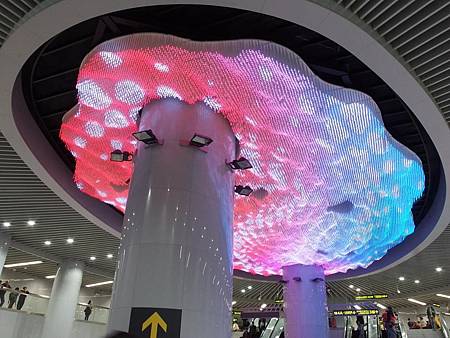 PB150511 (Copy).JPG PB150511 (Copy).JPG