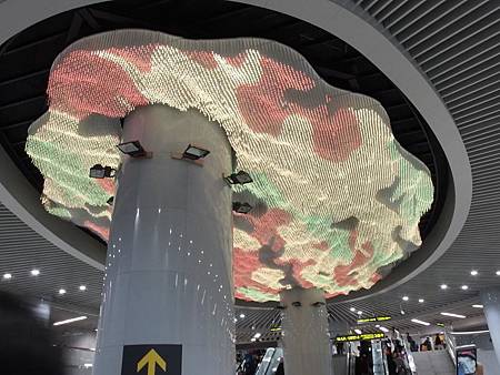 PB150512 (Copy).JPG PB150512 (Copy).JPG