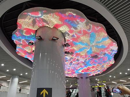 PB150513 (Copy).JPG PB150513 (Copy).JPG