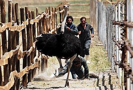 DNhhr0sBTfLgsj8IRA5LdA