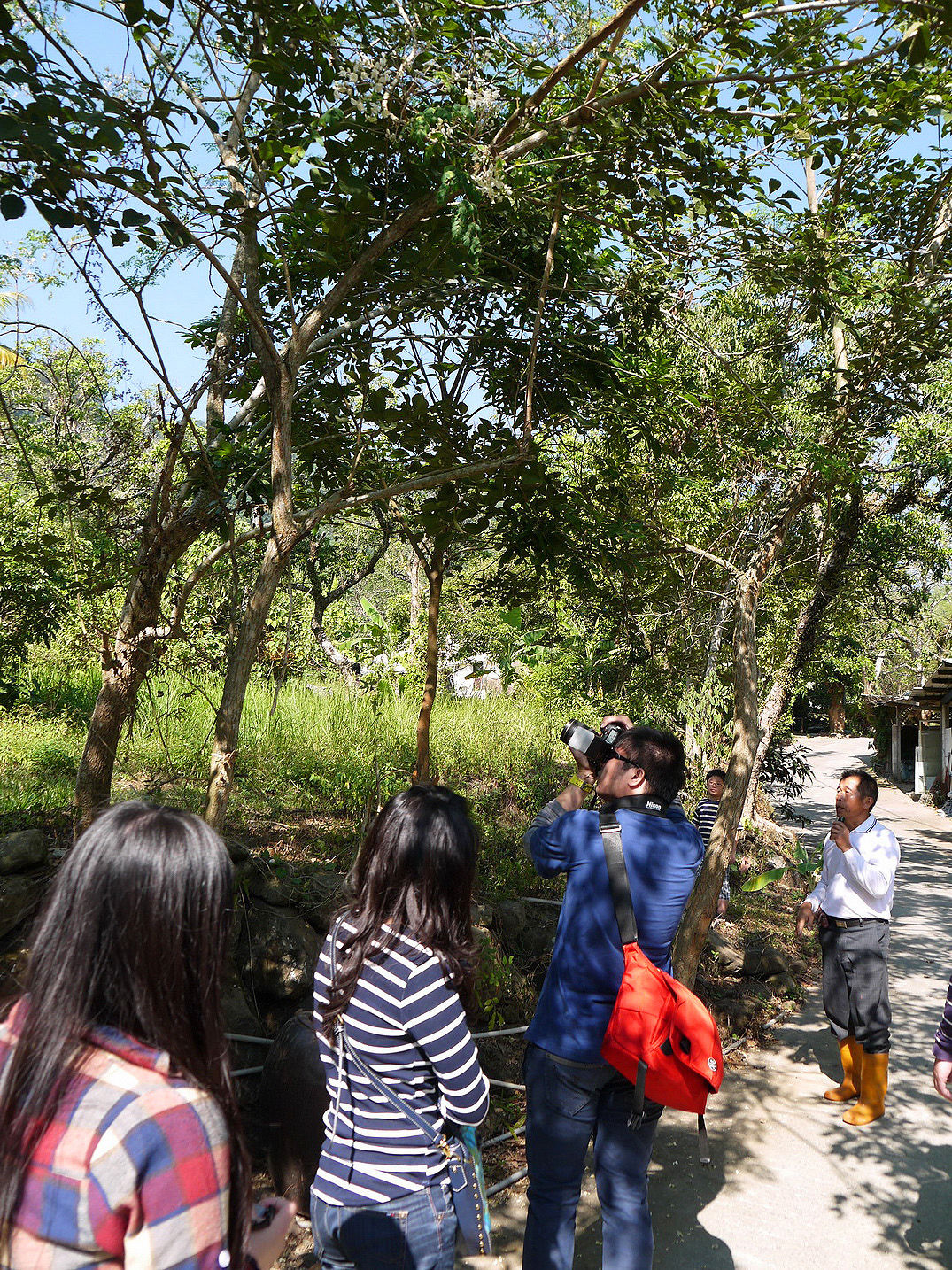 P2430291.JPG P2430291.JPG