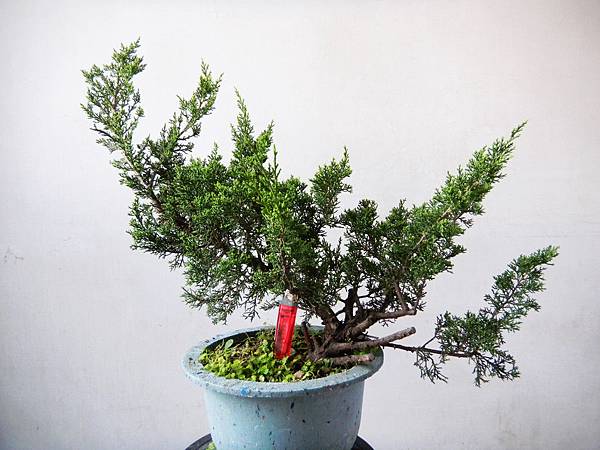 nEO_IMG_DSCN6327.jpg nEO_IMG_DSCN6327.jpg