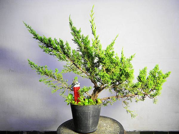 nEO_IMG_DSCN6370.jpg nEO_IMG_DSCN6370.jpg