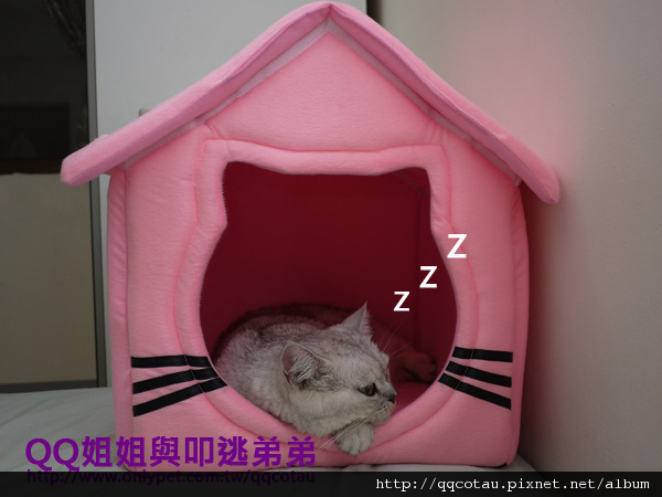 粉色貓臉房子-5