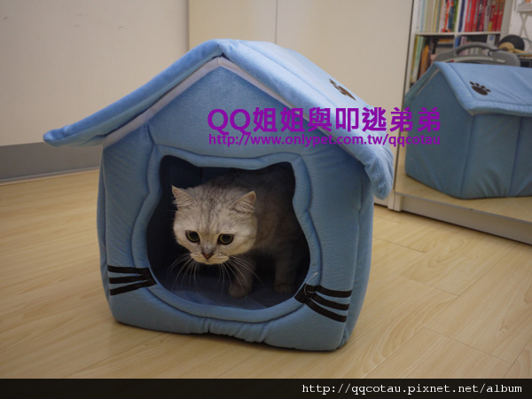藍色貓臉房子-1 藍色貓臉房子-1