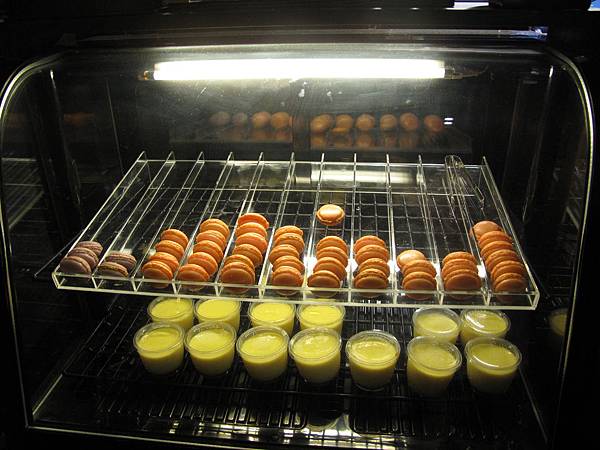 IMG_3793.JPG IMG_3793.JPG