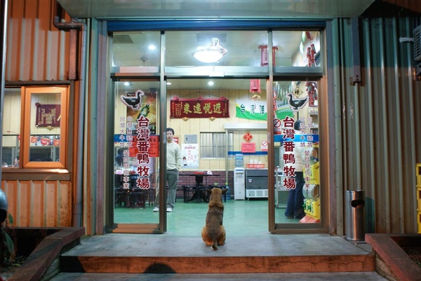 DSC08037 (Large).JPG