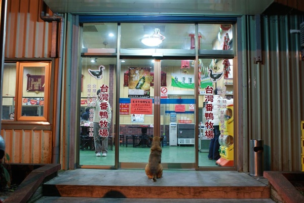 DSC08042 (Large).JPG