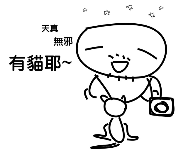 玩貓.jpg 玩貓.jpg