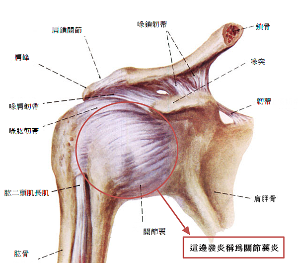 片 3