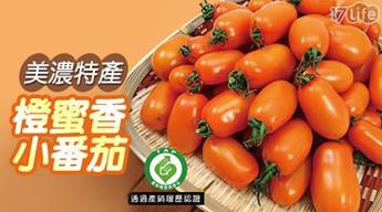 美濃特產-橙蜜香小蕃茄