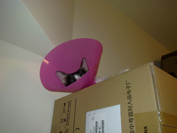 20100817422.jpg 20100817422.jpg