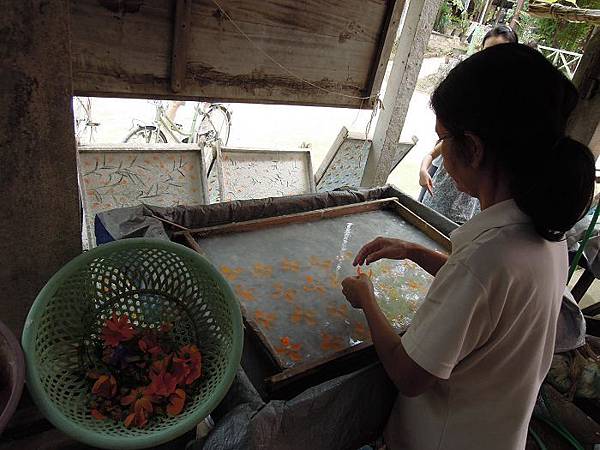 龍坡邦 騎單車 (8)