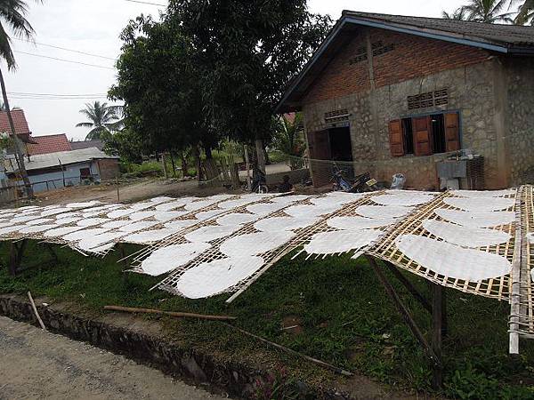 龍坡邦 騎單車 (13)