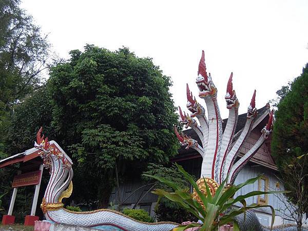 龍坡邦 騎單車 (30)