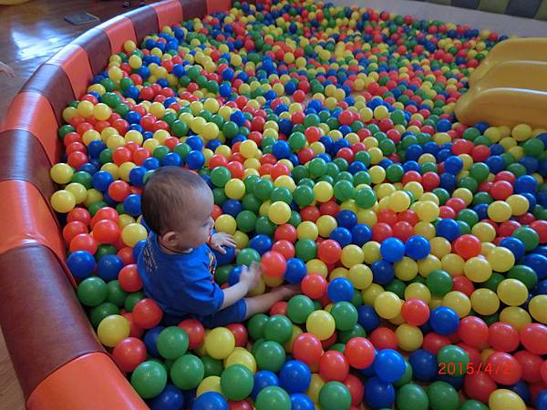 CIMG0501.JPG CIMG0501.JPG