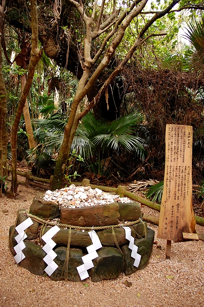 DSC_1970.jpg DSC_1970.jpg