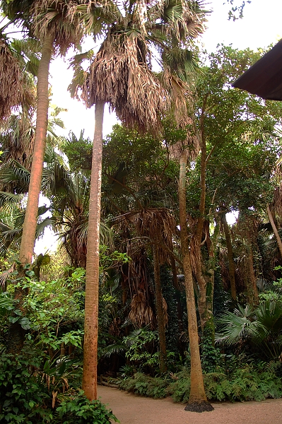 DSC_1972.jpg DSC_1972.jpg