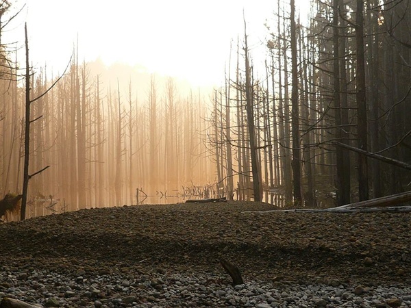 於上谷沙洲回望向晚水漾