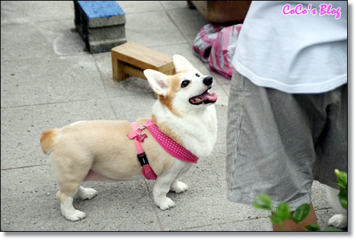 IMG_2027 IMG_2027