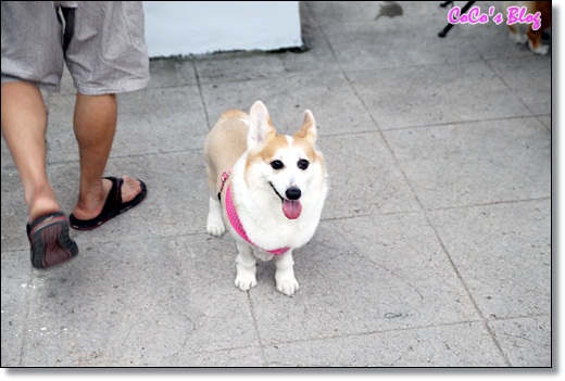 IMG_2036 IMG_2036