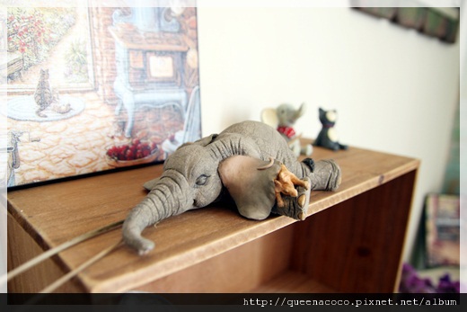 IMG_1845 IMG_1845